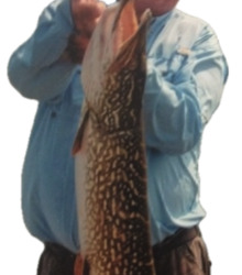 Robert Clayton Hornbeck